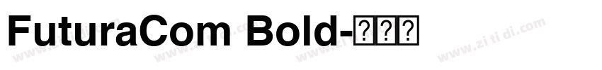 FuturaCom Bold字体转换